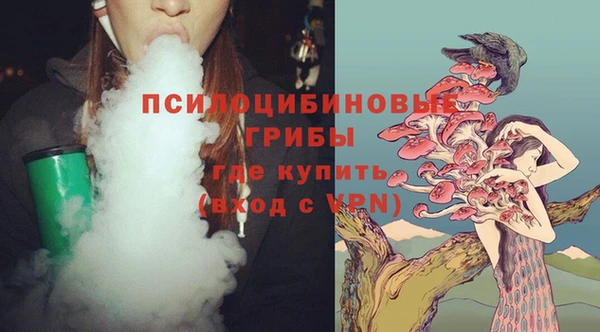 метадон Алексин