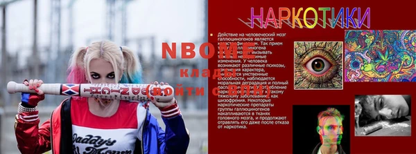 метадон Алексин